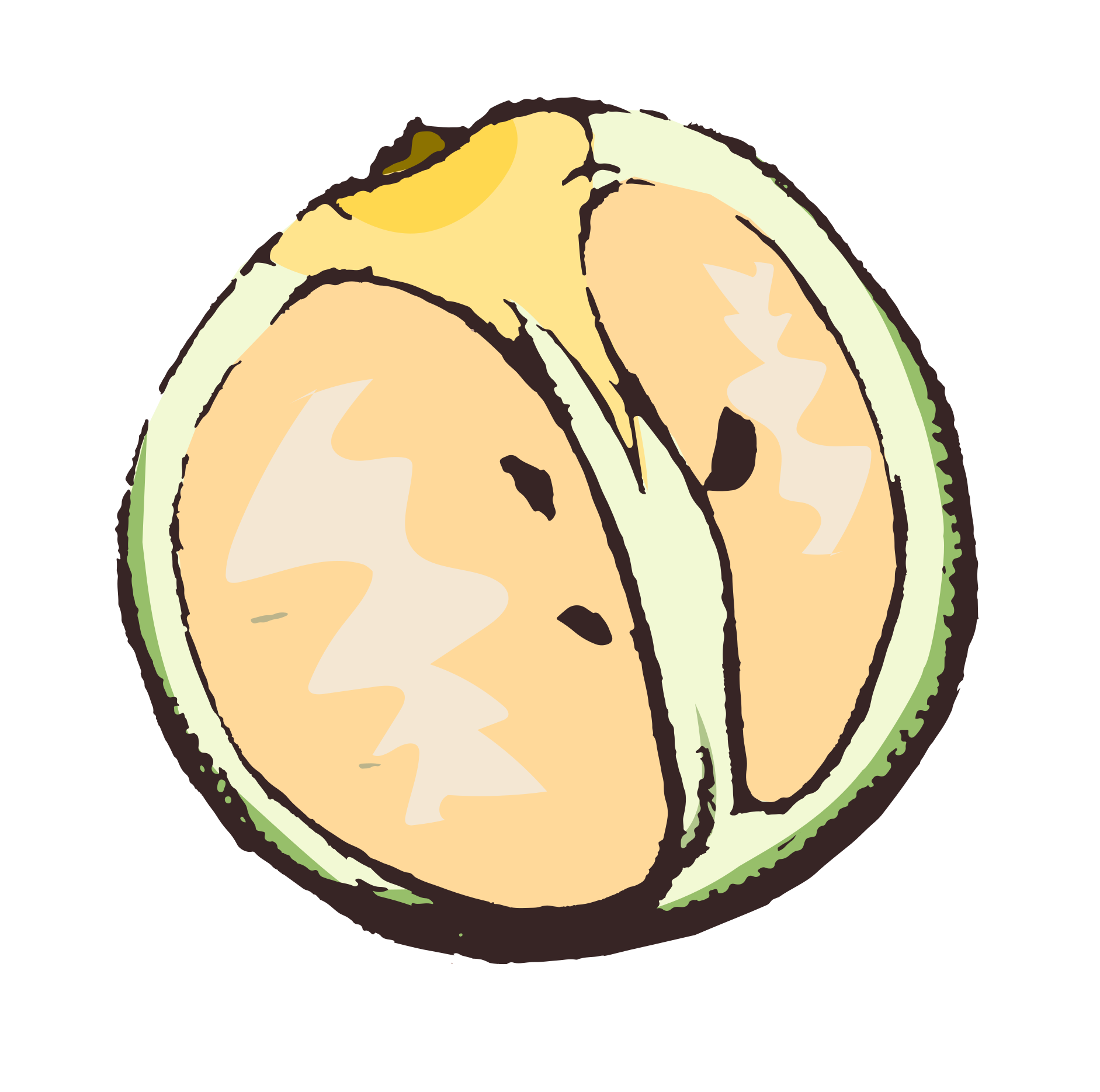 ¿Cómo podes saber si tus plantas tienen síntomas de HLB?