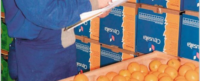 ledesma y coca-cola sellan acuerdo