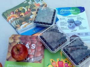 Productores de arándanos celebran resultados positivos de la campaña para mercado interno