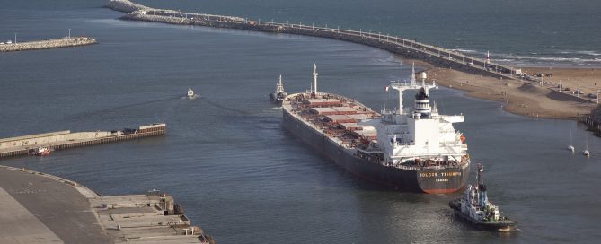 exportar a Estados Unidos