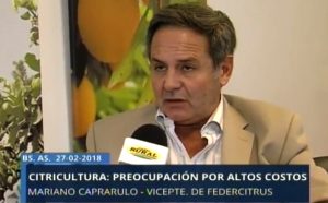 CITRICOS PIERDEN COMPETITIVIDAD PARA EXPORTAR