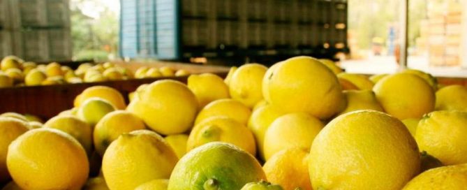limones