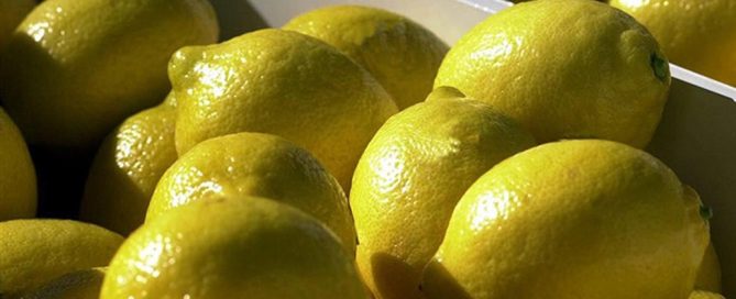 Limones
