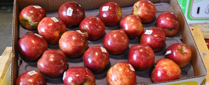 Manzanas y Peras