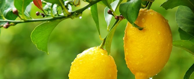 limones
