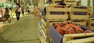 Todo dólar es político: el impacto de la devaluación en la frutihorticultura