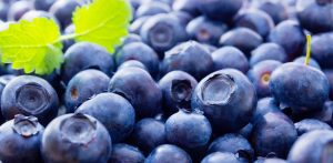 Arándanos argentinos perderían espacio en el mercado por falta de acuerdos de libre comercio