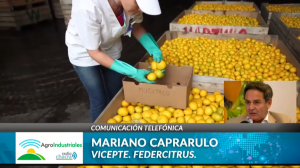 Declaraciones de Mariano Caprarulo, balance Citricultura Argentina