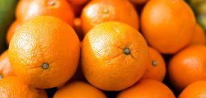 Argentina: Exportaciones de cítricos dulces caerían a la mitad por falta de competitividad