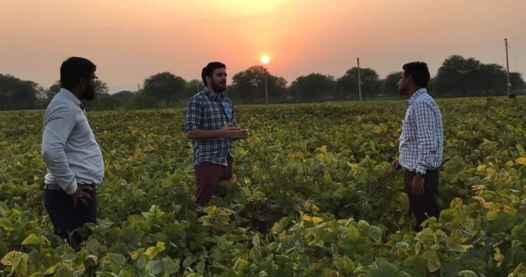 Agregaduría Agrícola