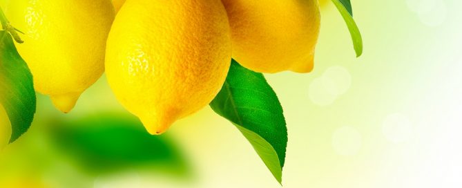 limones argentinos