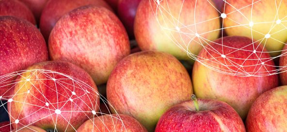 manzana