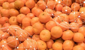 mandarina