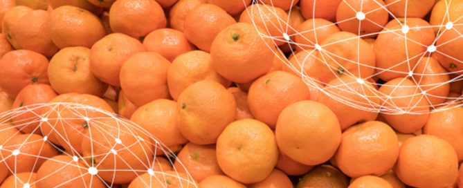 mandarina
