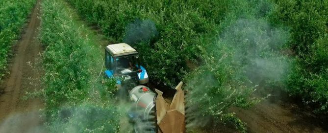 insecticidas