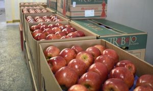 Ya es oficial, el Gobierno no prorrogó las leyes de emergencia frutícola