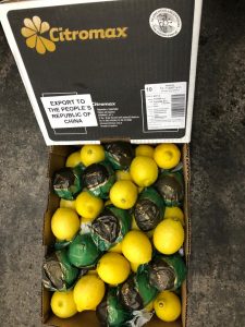 El NOA celebra la llegada de los primeros limones a China