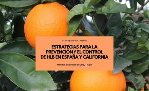 Estrategias para la prevención y control de HLB en España y California