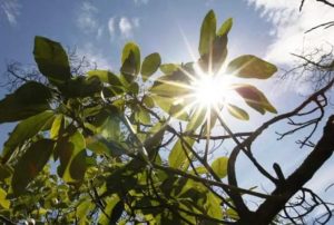 «La Niña» ya es oficial y traerá una primavera con pocas lluvias y menos calor