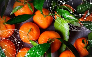 Resumen del mercado global de la mandarina