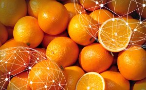 Resumen del mercado global de la naranja