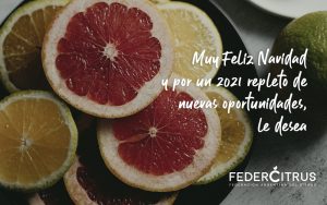 Felices fiestas