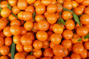Aumentan las exportaciones de frutas sudafricanas en 2021, destacándose las mandarinas