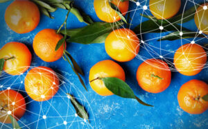 Resumen del mercado global de la mandarina