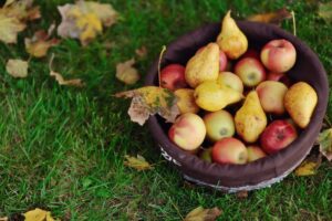 Estados Unidos prohibirá el uso de clorpirifos tras años de disputas legales