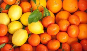 Sudáfrica va camino de batir récord de exportación de cítricos con 2,7 millones de toneladas en 2021/2022