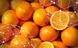 Resumen del mercado global de la naranja