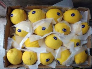 «Los limones chinos sufren la competencia de Turquía y Egipto esta temporada»