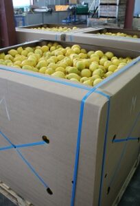 Los exportadores sudafricanos de zumo de limón, sorprendidos por la acusación de «dumping» de EE. UU.