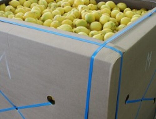 Los exportadores sudafricanos de zumo de limón, sorprendidos por la acusación de «dumping» de EE. UU.