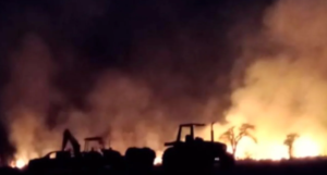 Incendios en Corrientes: sector por sector, cuánto perdieron las distintas actividades agropecuarias de la provincia