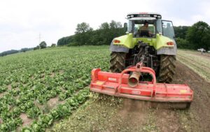 Agricultores e industria piden una nueva sanidad vegetal ante la crisis en Ucrania
