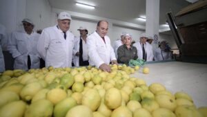 Manzur: «Argentina apunta a liderar el mercado del limón a nivel global»