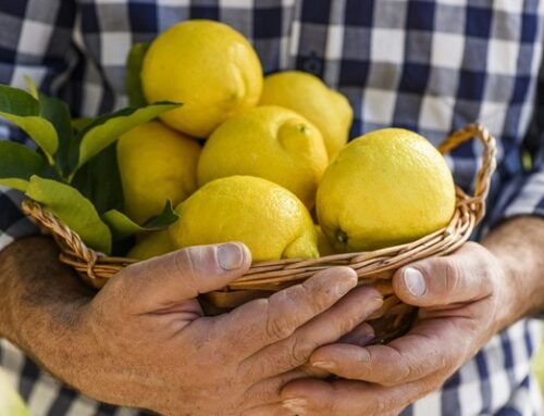El consumo de limón se estabiliza en España y vuelve a los niveles de la prepandemia