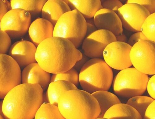 Economías regionales: el limón sigue liderando la exportación y Europa es el principal destino