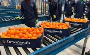 La India es muy competitiva para las exportaciones de naranja de Sudáfrica