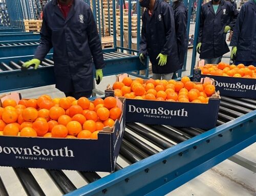 La India es muy competitiva para las exportaciones de naranja de Sudáfrica