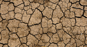 La grave sequía en Europa sigue extendiéndose y empeorando