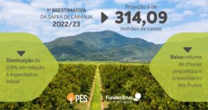 Brazil: Cosecha de naranja 2022/23 del cinturón citrícola de SP y MG se reestima en 314,09 millones de cajas
