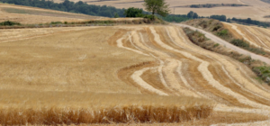 La guerra en Ucrania sacude el mercado de fertilizantes por el riesgo de escasez