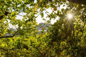 «El reto es trabajar para que se dé una transición ordenada entre los dos hemisferios y no ocurra lo del año pasado»