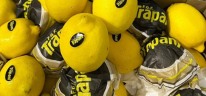 El NOA celebra la llegada de los primeros limones argentinos a Vietnam