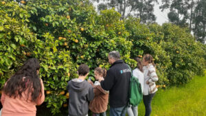 El ciclo de capacitación «Nuestra escuela tiene Patrulla HLB» ya visitó cinco provincias