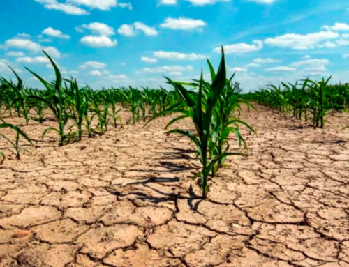 Sequía extrema: los pronósticos climáticos del verano refuerzan la preocupación por el impacto en la economía