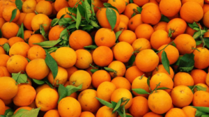 En 2023 faltarán naranjas y están en riesgo los duraznos