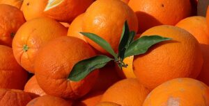 La importación citrícola desde los países terceros a la UE se contrae